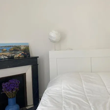 Charmant T3 Lumineux Avec Cuisine Neuve Et Proche Plages A Saint Charles, - Fr-1-239-968 Appartement Biarritz